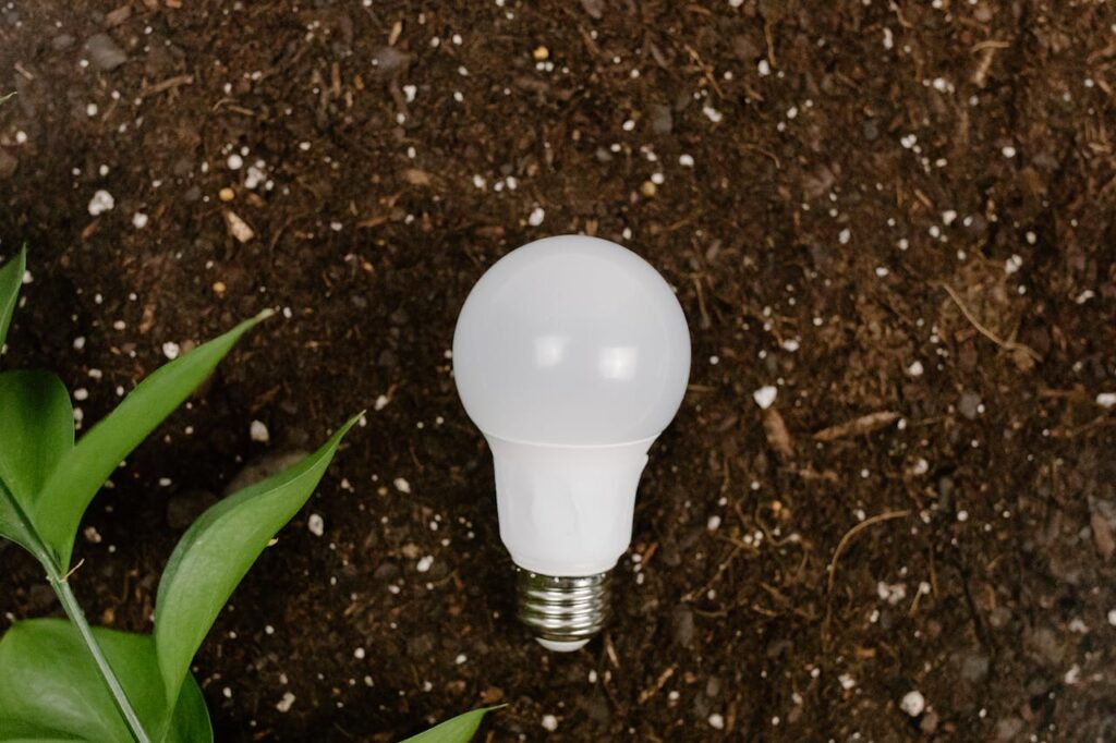 pexels-photo-7111160 A light bulb on earthy soil with green leaves, symbolizing sustainability and eco-friendliness.